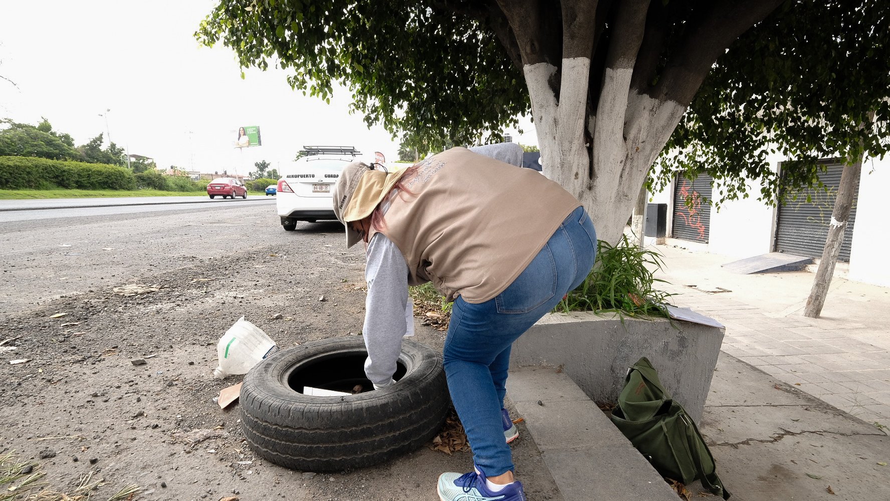 Eliminar criaderos de moscos será fundamental para prevenir casos de dengue durante 2024