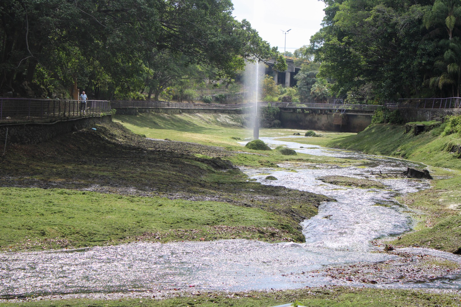 Inicia mantenimiento y limpieza en lago Del Parque Barranca Chapultepec, de Cuernavaca