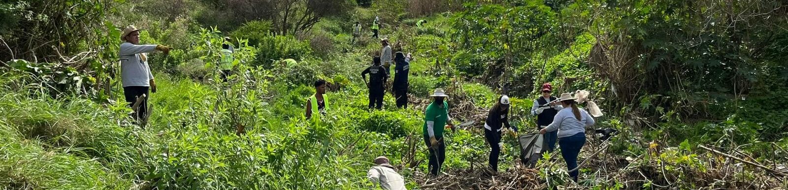 LLAMA MUNICIPIO A SUMAR ESFUERZOS EN EL CUIDADO AL MEDIO AMBIENTE Y LIMPIEZA DE ARROYOS