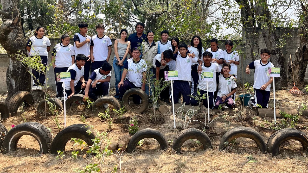 Suman 40 jardines para polinizadores en Morelos