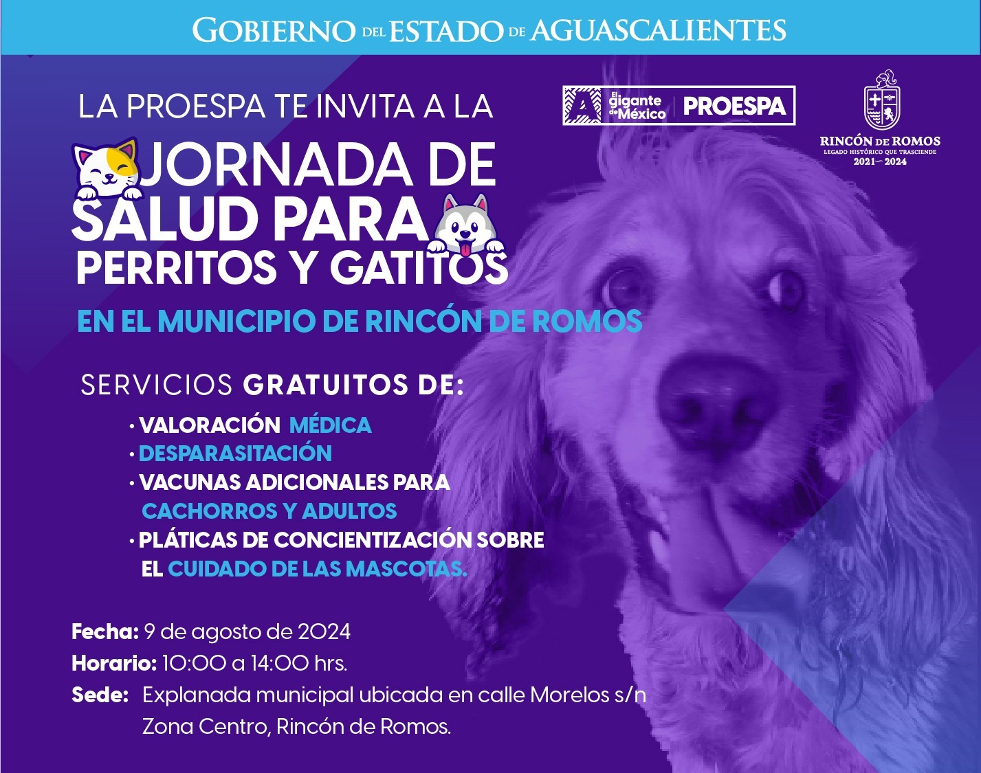 SERVICIOS VETERINARIOS GRATUITOS ESTE VIERNES EN RINCÓN DE ROMOS