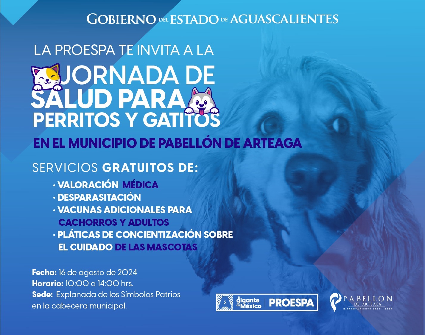 GOBIERNO DEL ESTADO LLEVARÁ SERVICIOS VETERINARIOS GRATUITOS A PABELLÓN DE ARTEAGA