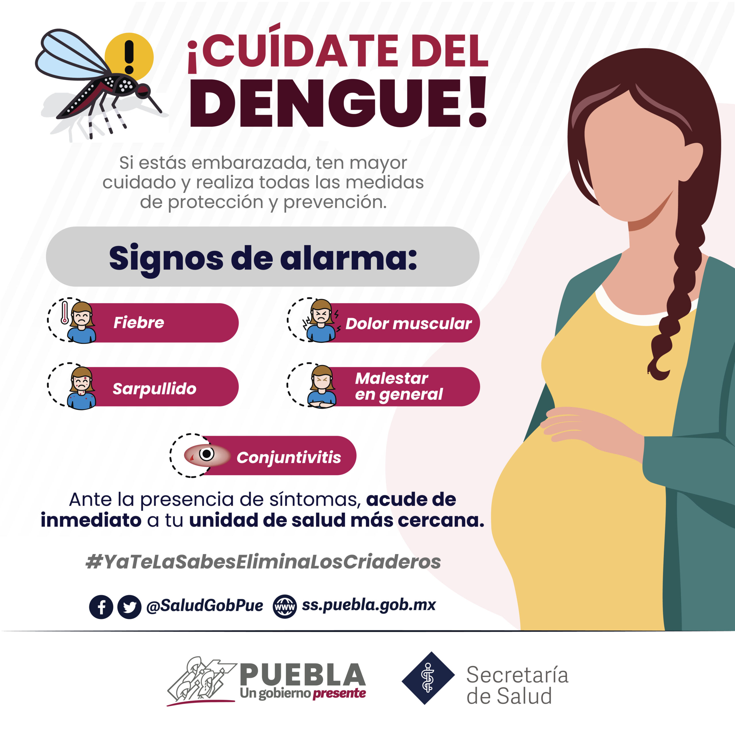 Reporta Salud presencia de dengue en 77 municipios