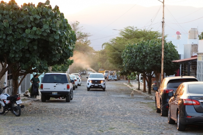 Este miércoles, Salud Colima fumiga contra dengue en 42 colonias y comunidades de La Villa, Tecomán y Manzanillo